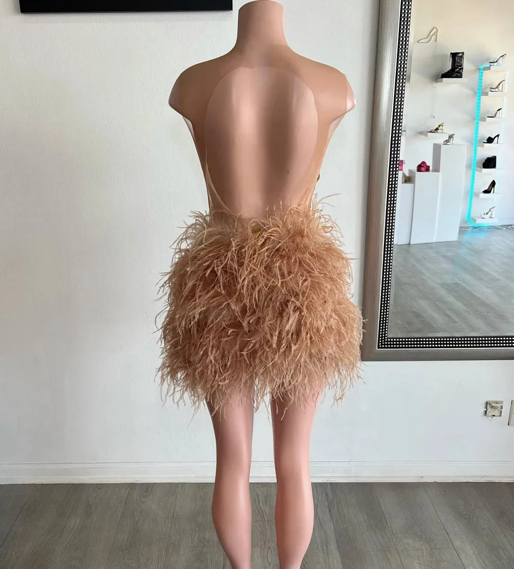 Brown Feather Dress 2024